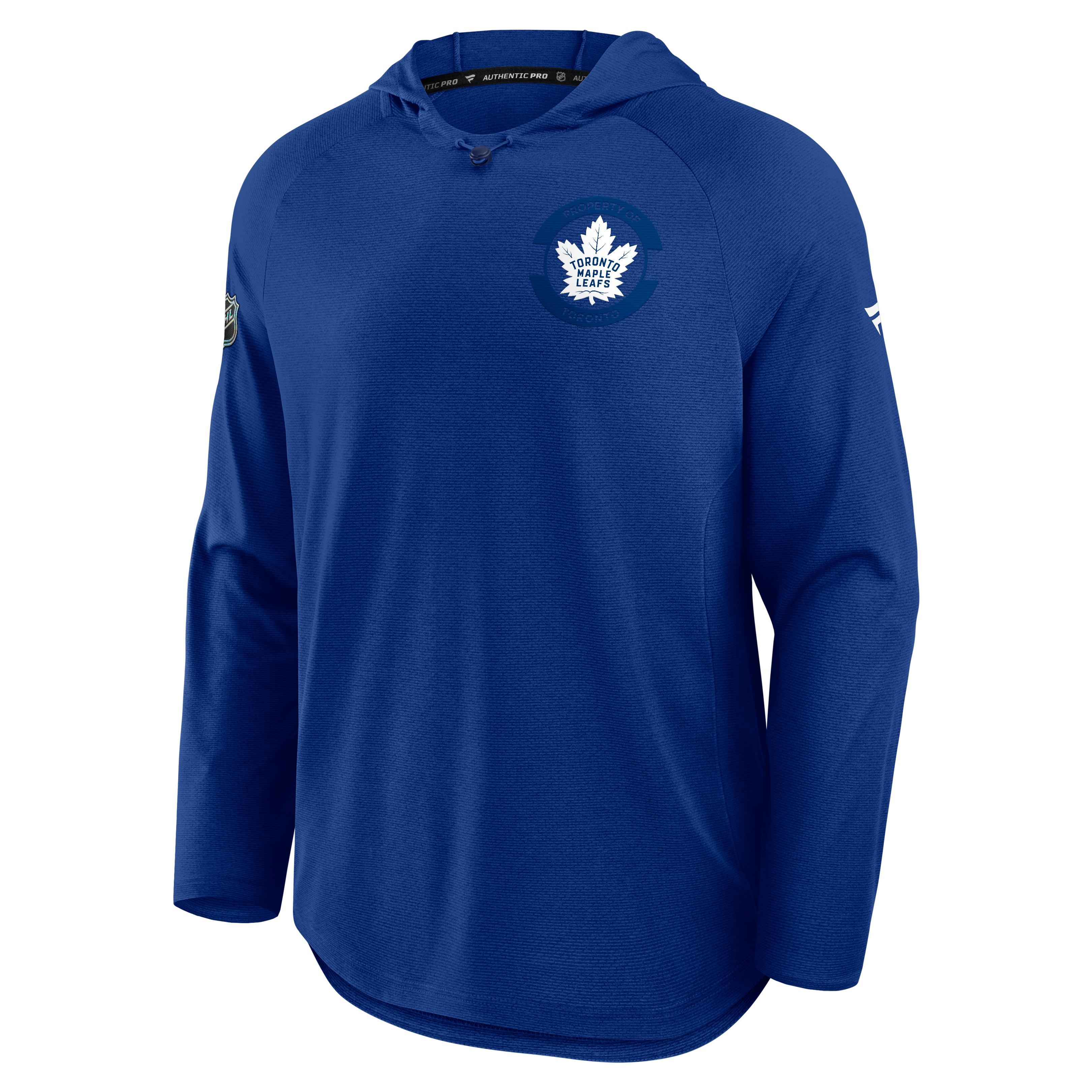 2025 Authentic Pro Rink Lightweight Hoody