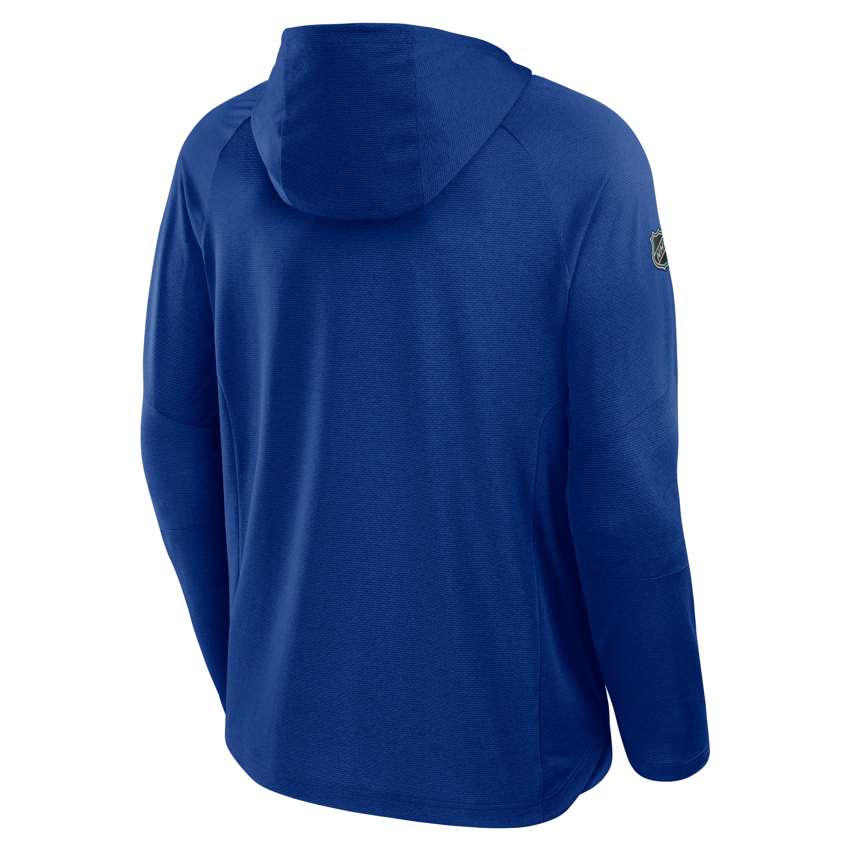 2025 Authentic Pro Rink Lightweight Hoody