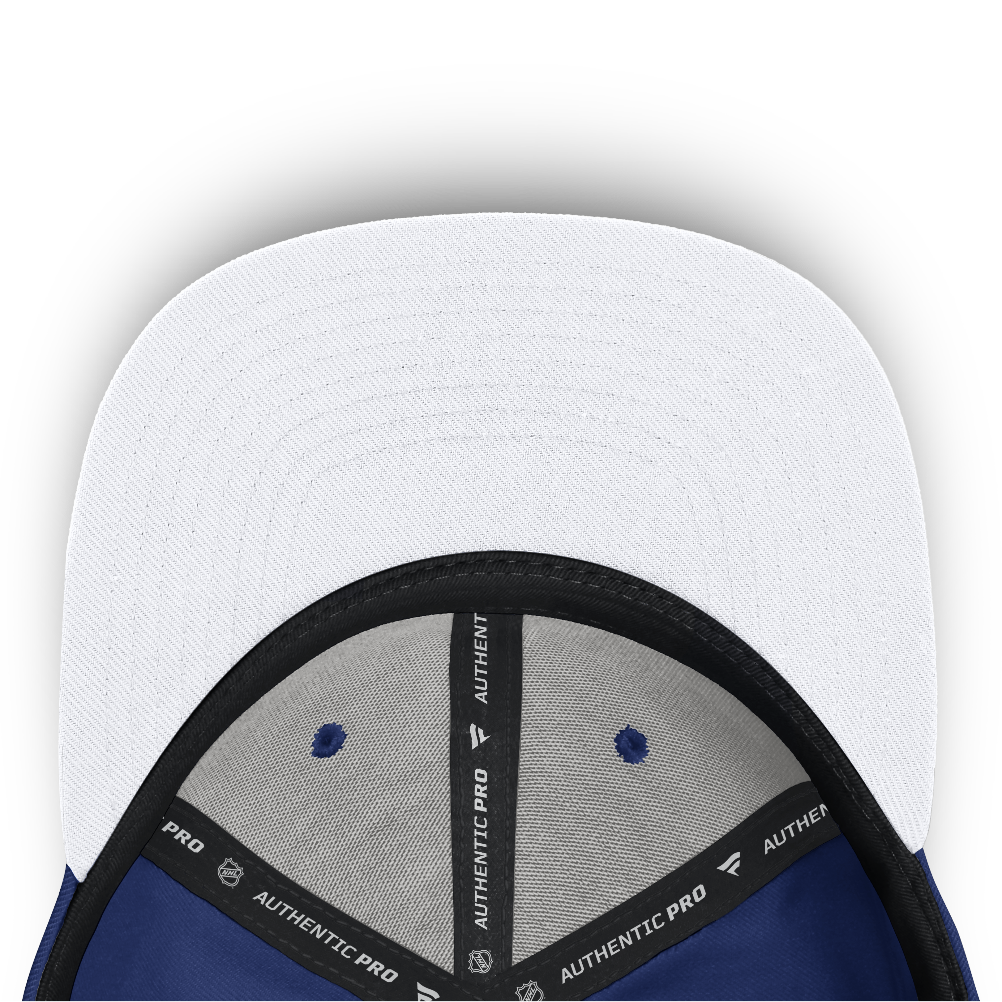 2026 Authentic Pro Rink Snapback
