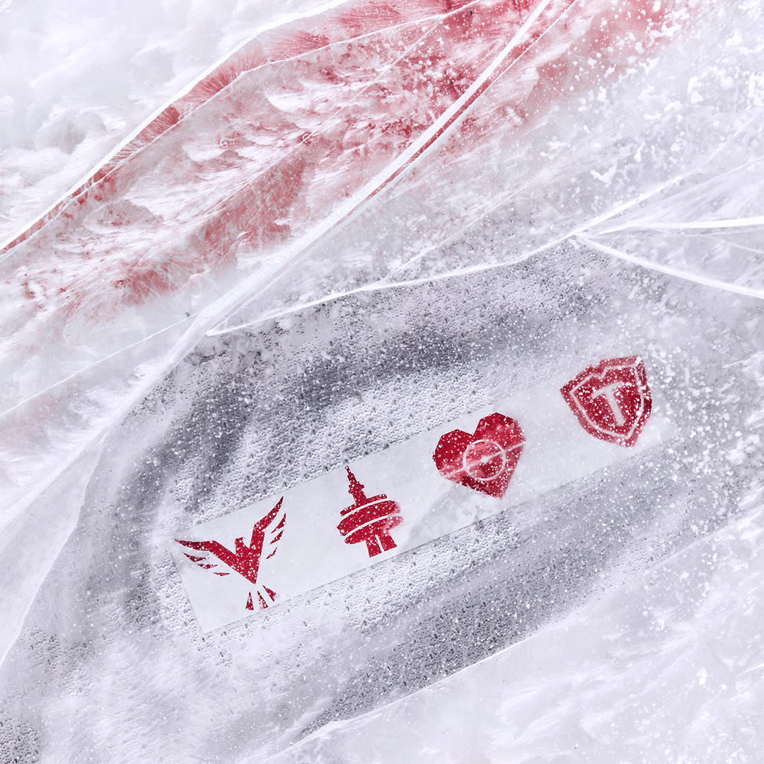 Authentic 2026 Winter Kit