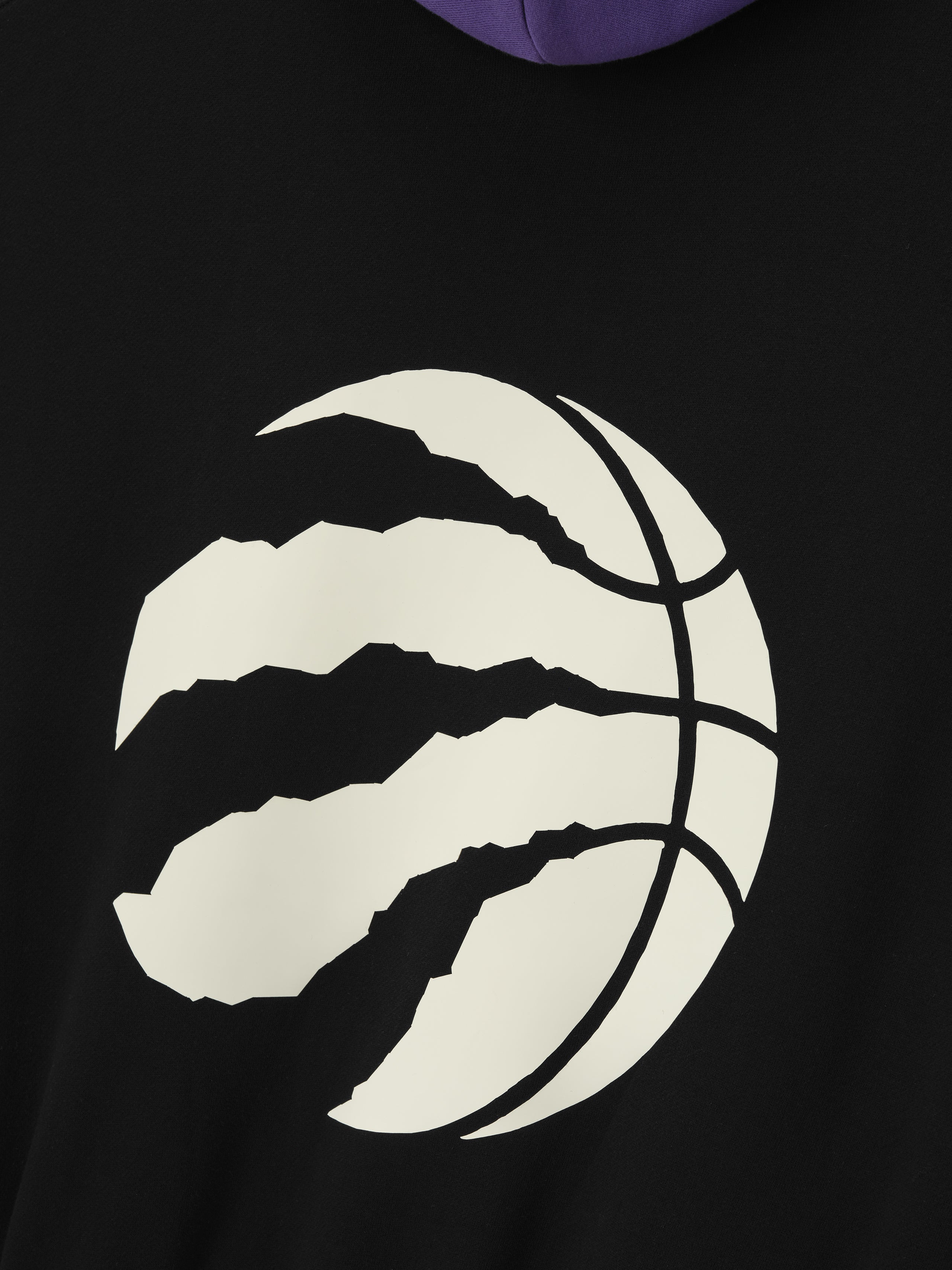 Raptors Sports Fit Hoody