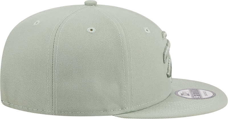9FIFTY Tonal Colour Pack Snapback - GREEN