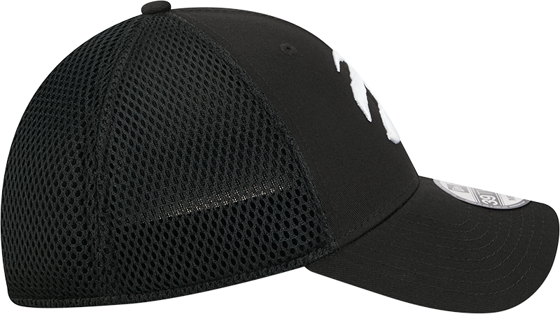 39THIRTY Neo Part Logo Flex Hat
