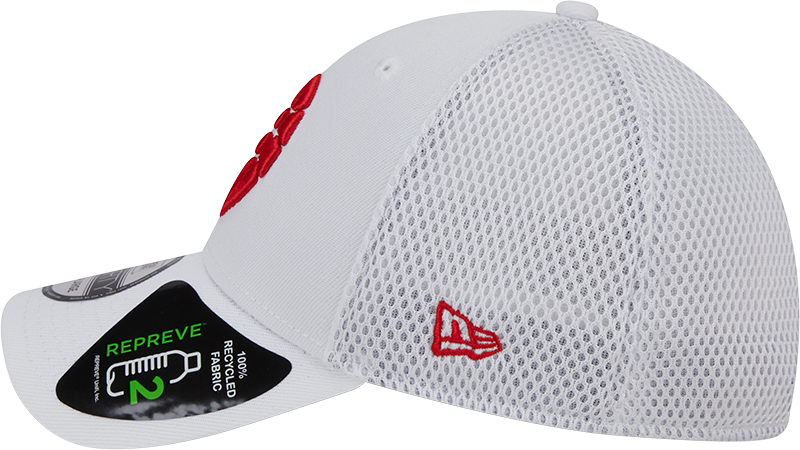 39THIRTY Part Logo Game Day Flex Hat - WHITE
