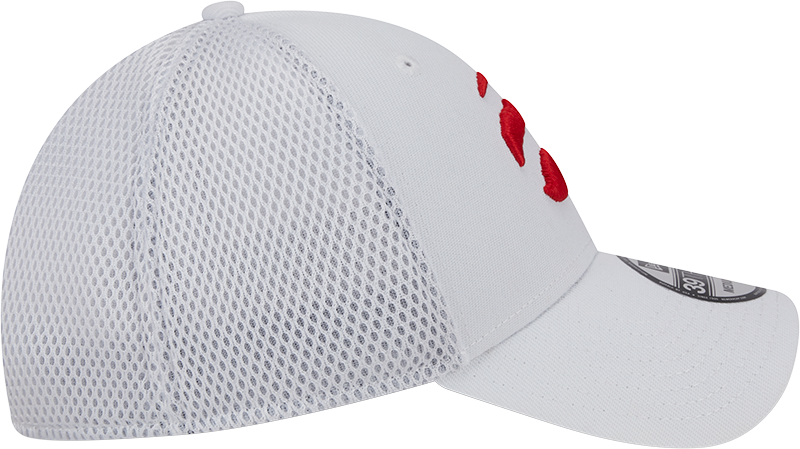 39THIRTY Part Logo Game Day Flex Hat - WHITE