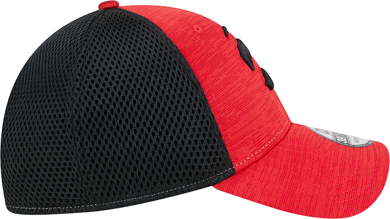 39THIRTY Part Logo Game Day Flex Hat - RED