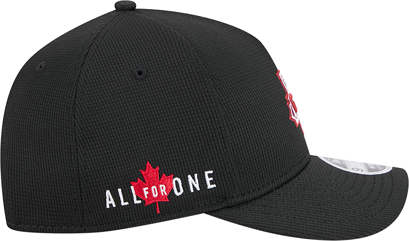 Toddler 2025 Jersey Hook 9FORTY Structured Hat