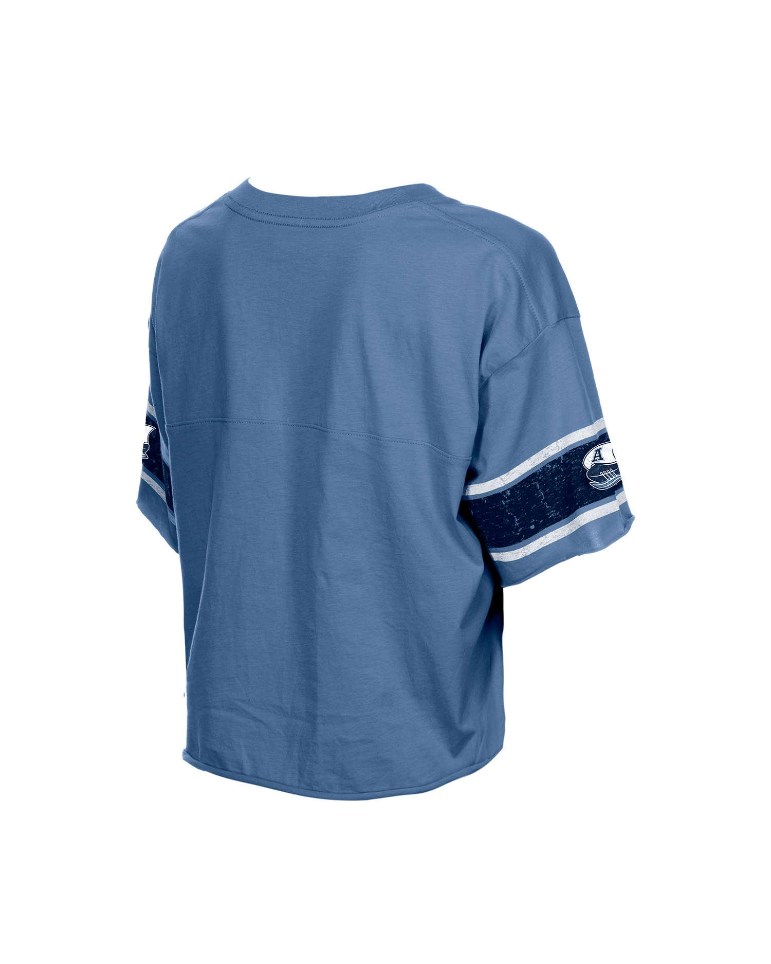 Distressed Wordmark Cropped Tee