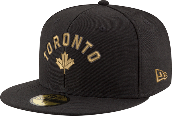 Fitted top raptors hat