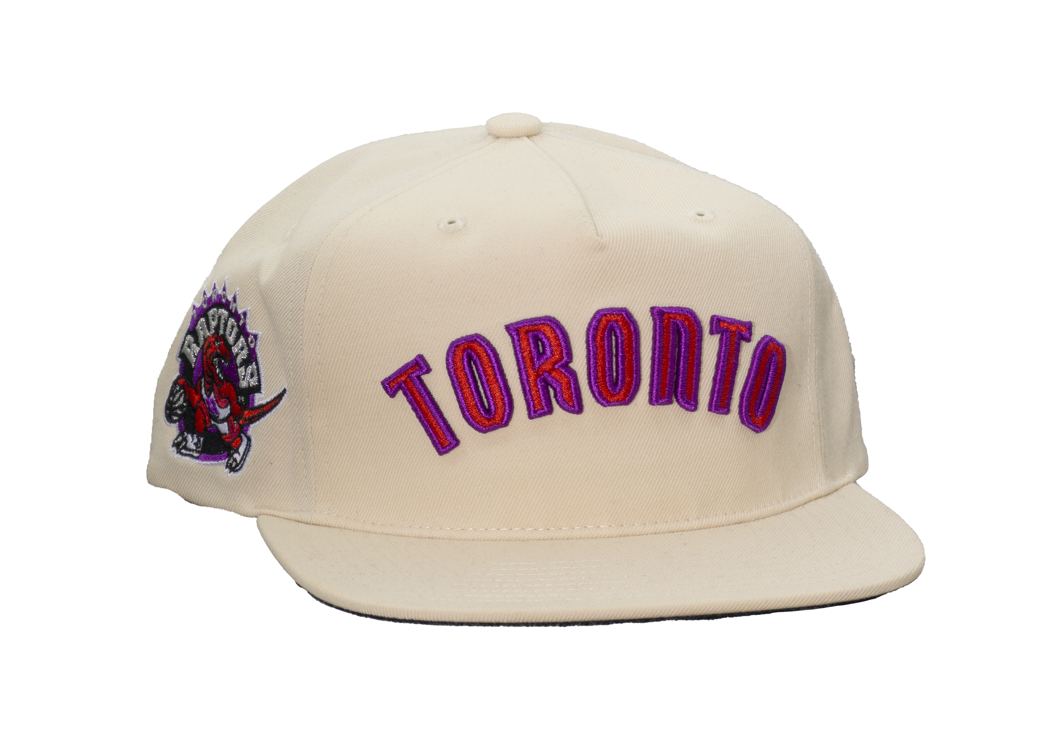 Raptors '99 Wordmark Snapback