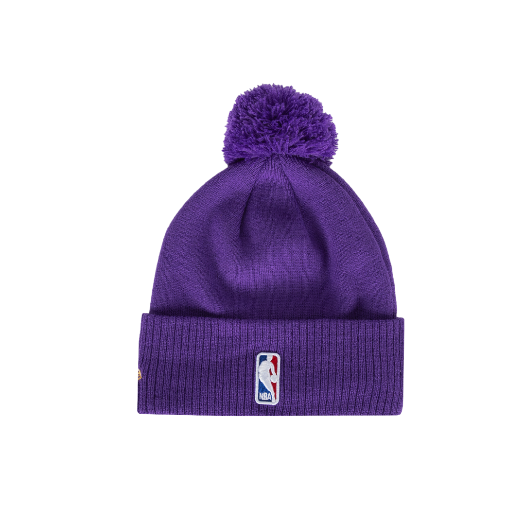2024 City Dino Dunk Cuffed Pom Toque - PURPLE
