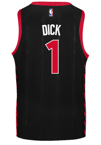 Raptors Nike Men's 2022 Swingman Statement Jersey - DICK