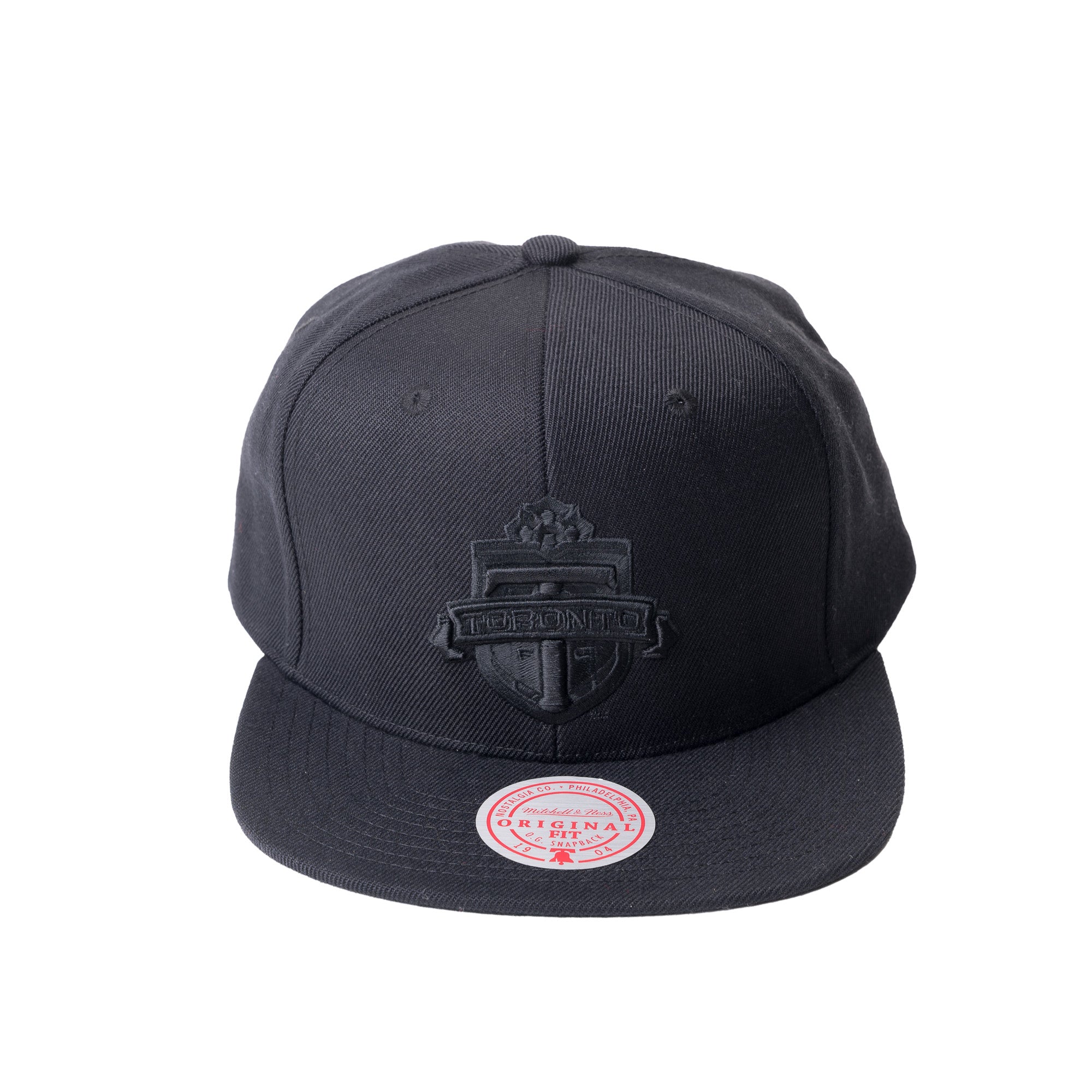 Tonal Primary Logo Snapback