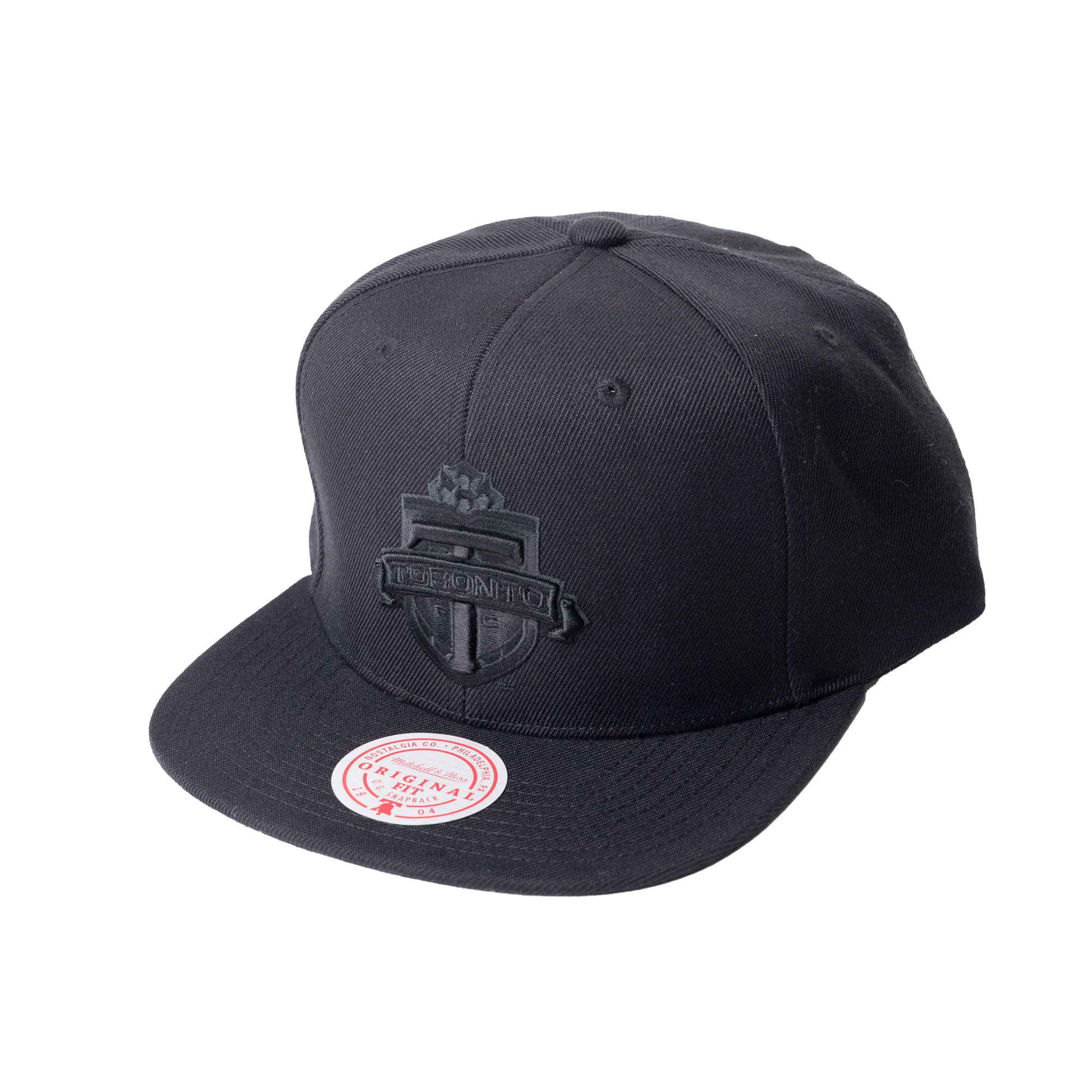 Tonal Primary Logo Snapback