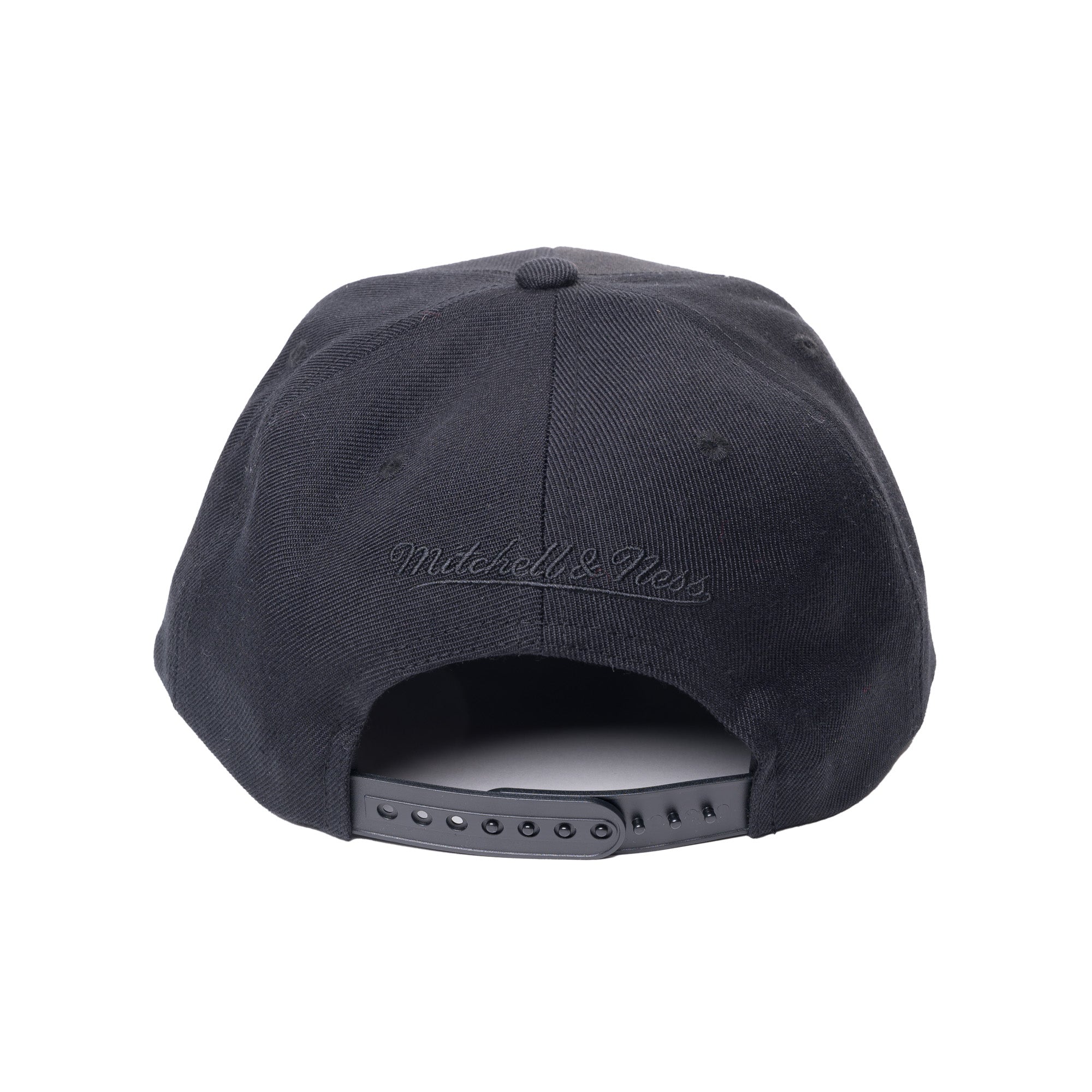 Tonal Primary Logo Snapback