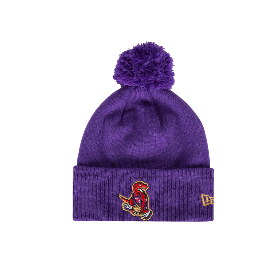 2024 City Dino Dunk Cuffed Pom Toque - PURPLE