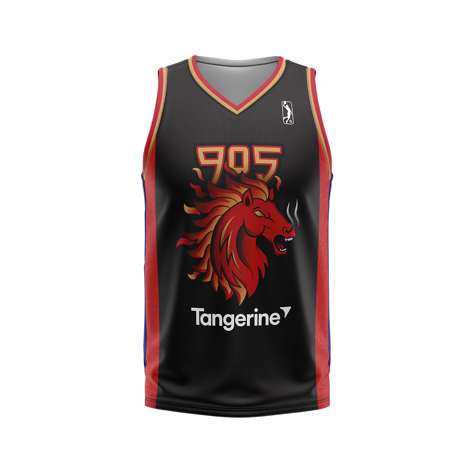 Raptors 905 Men's 2026 LNY Jersey