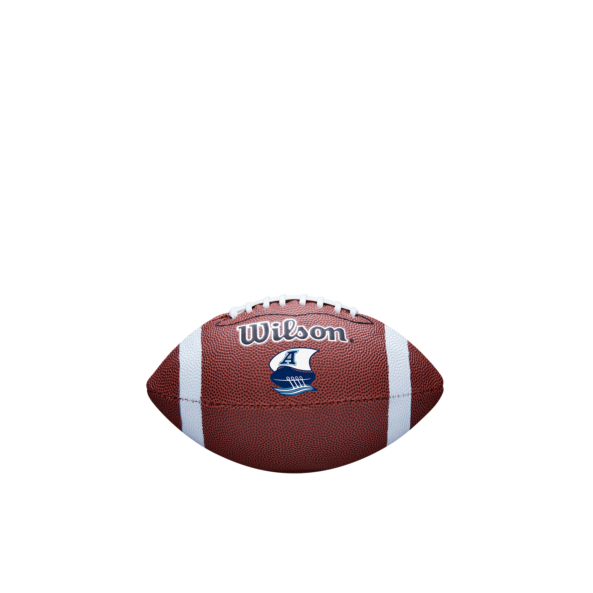Team Mini Football
