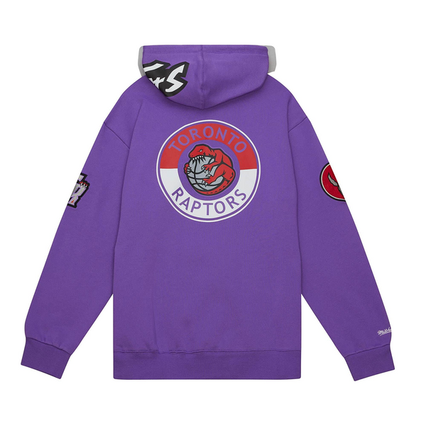 Toronto raptors men's mitchell store and ness dino hoodie