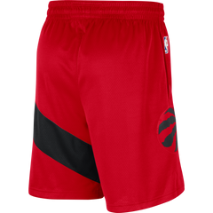 Raptors Nike Men's Swingman 2020 Icon Shorts