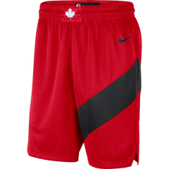 Raptors Nike Men's Swingman 2020 Icon Shorts