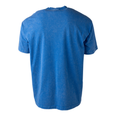 Toronto Sceptres 2025 Boxy Tee