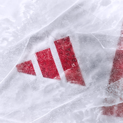 Authentic 2026 Winter Kit