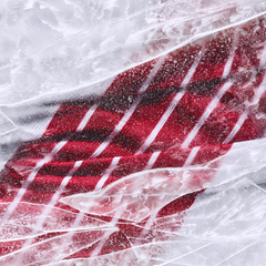 Authentic 2026 Winter Kit