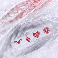 Authentic 2026 Winter Kit