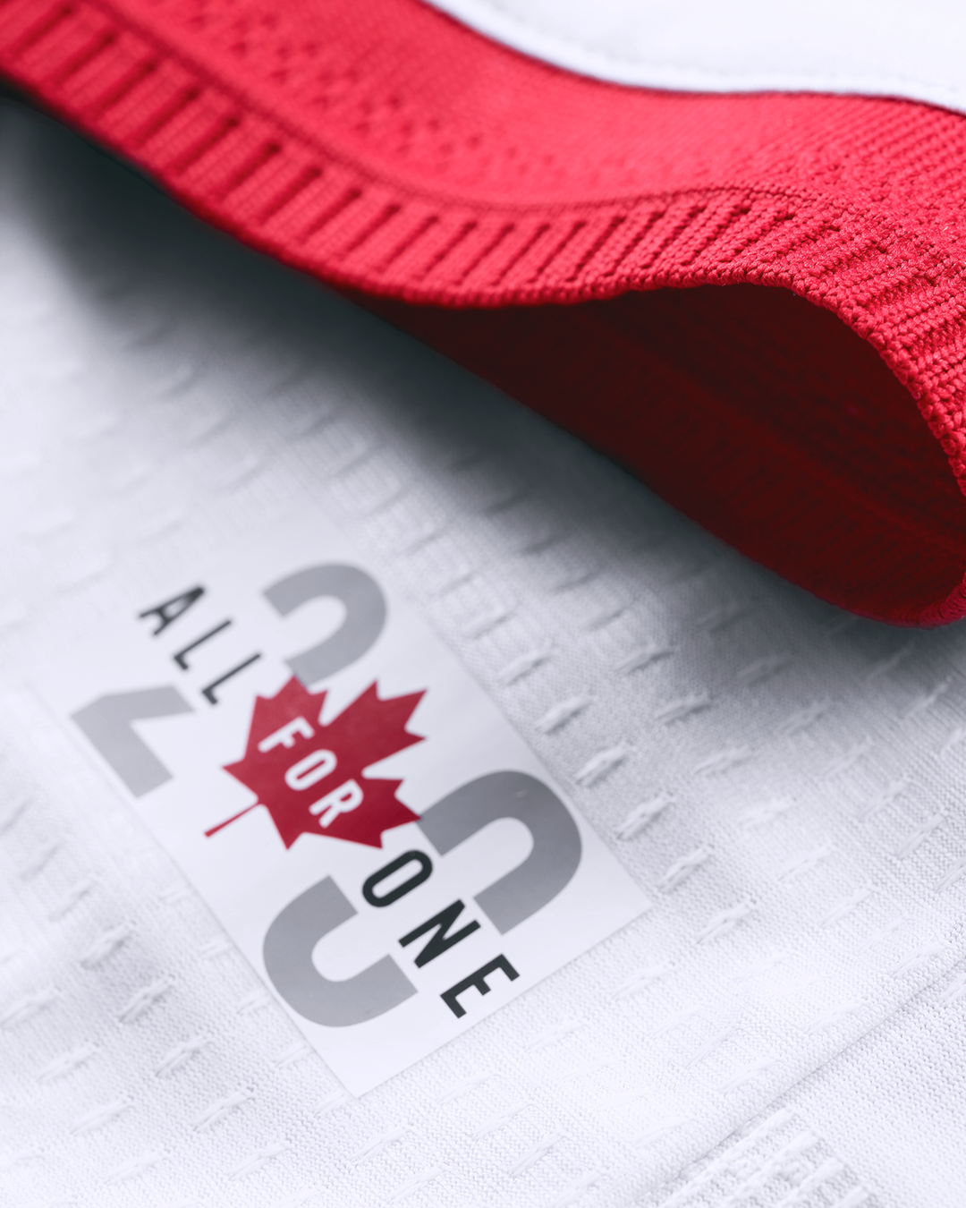 Authentic 2026 Winter Kit