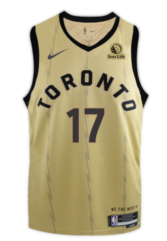 Raptors Nike Men's Swingman 2023 City Jersey - SCHRODER