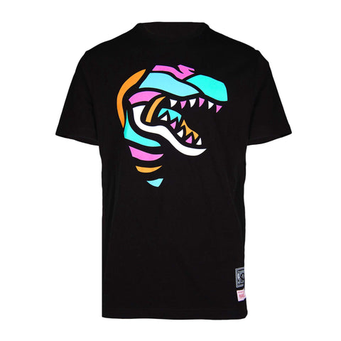 Raptors Mitchell & Ness Men's Coloured Stained Glass Tee