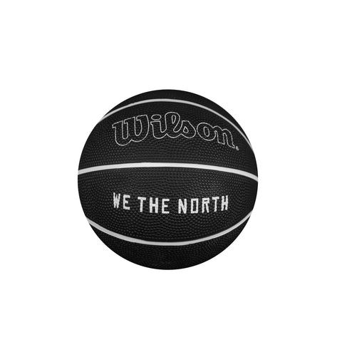 We The North Basketball