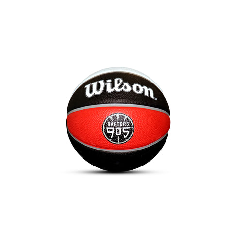 Raptors 905 Tribute Mini Basketball