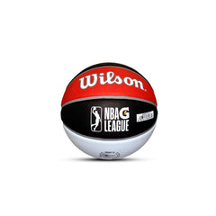 Raptors 905 Tribute Mini Basketball