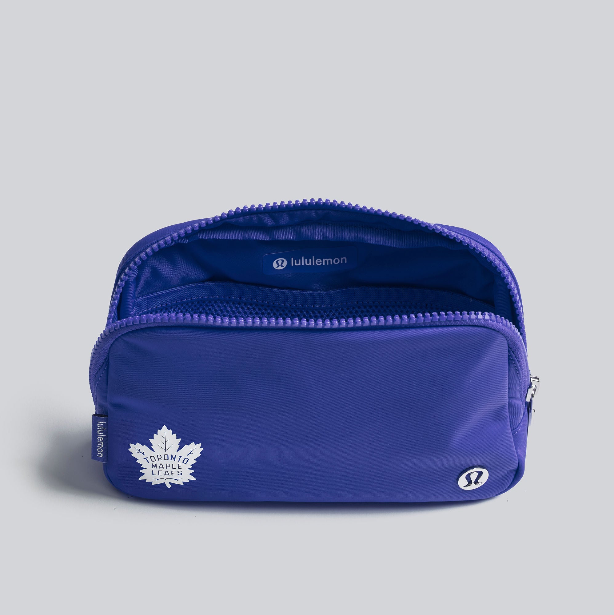 Everywhere Belt Bag