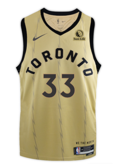 Nike 2025 jersey vest