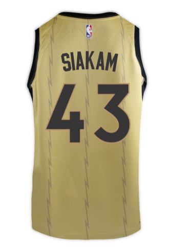 Raptors Nike Men's Swingman 2023 City Jersey - SIAKAM