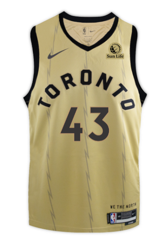 Raptors Nike Men's Swingman 2023 City Jersey - SIAKAM