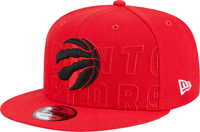 New era raptors hotsell