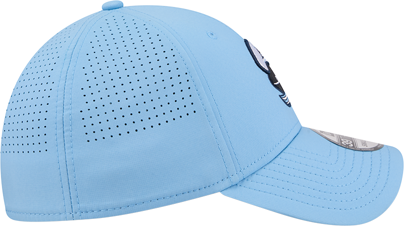 2026 Sideline 39THIRTY Flexfit Hat