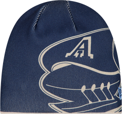 2026 Turf Tradition Beanie