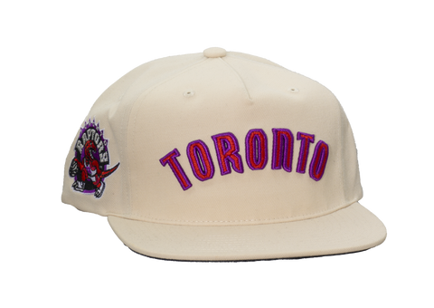 Raptors '99 Wordmark Snapback