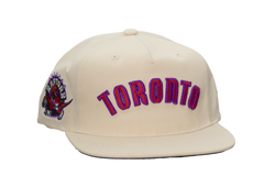 Raptors '99 Wordmark Snapback