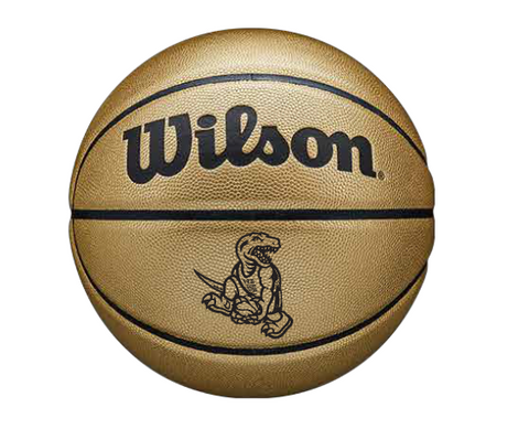 30th Anniversary Dino Basketball