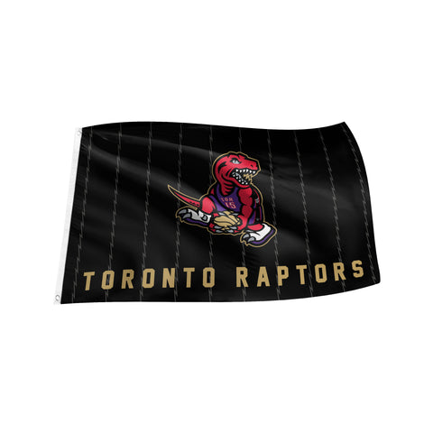 Dino 3' x 5' Banner Flag