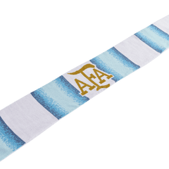 2026 World Cup Argentina Scarf
