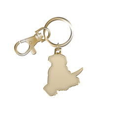 Dino Keychain