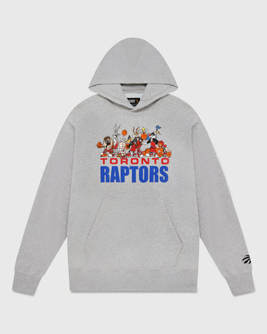 Women's Toronto Raptors Concepts Sport Mainstream Hoodie XLarge Gray