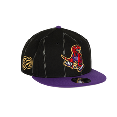 2024 9FIFTY City Dino Dunk Snapback